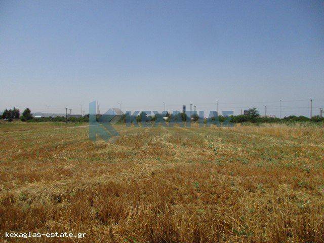 ΕΞΩΤΕΡΙΚΗ ΛΗΨΗ