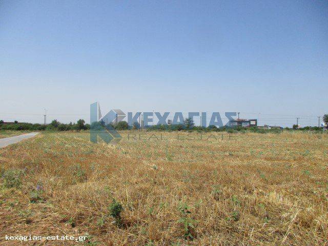 ΕΞΩΤΕΡΙΚΗ ΛΗΨΗ