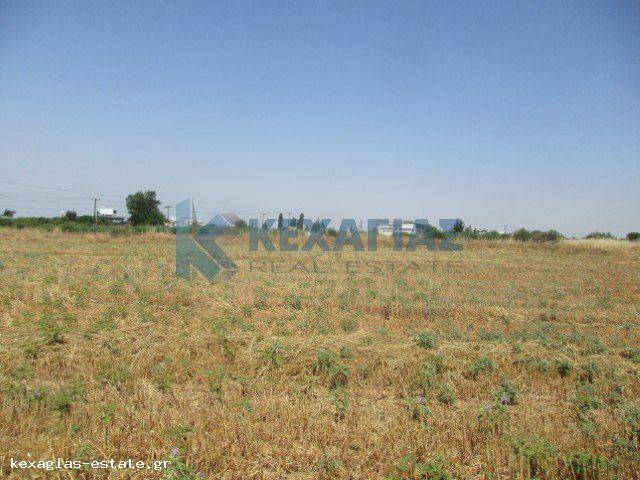 ΕΞΩΤΕΡΙΚΗ ΛΗΨΗ