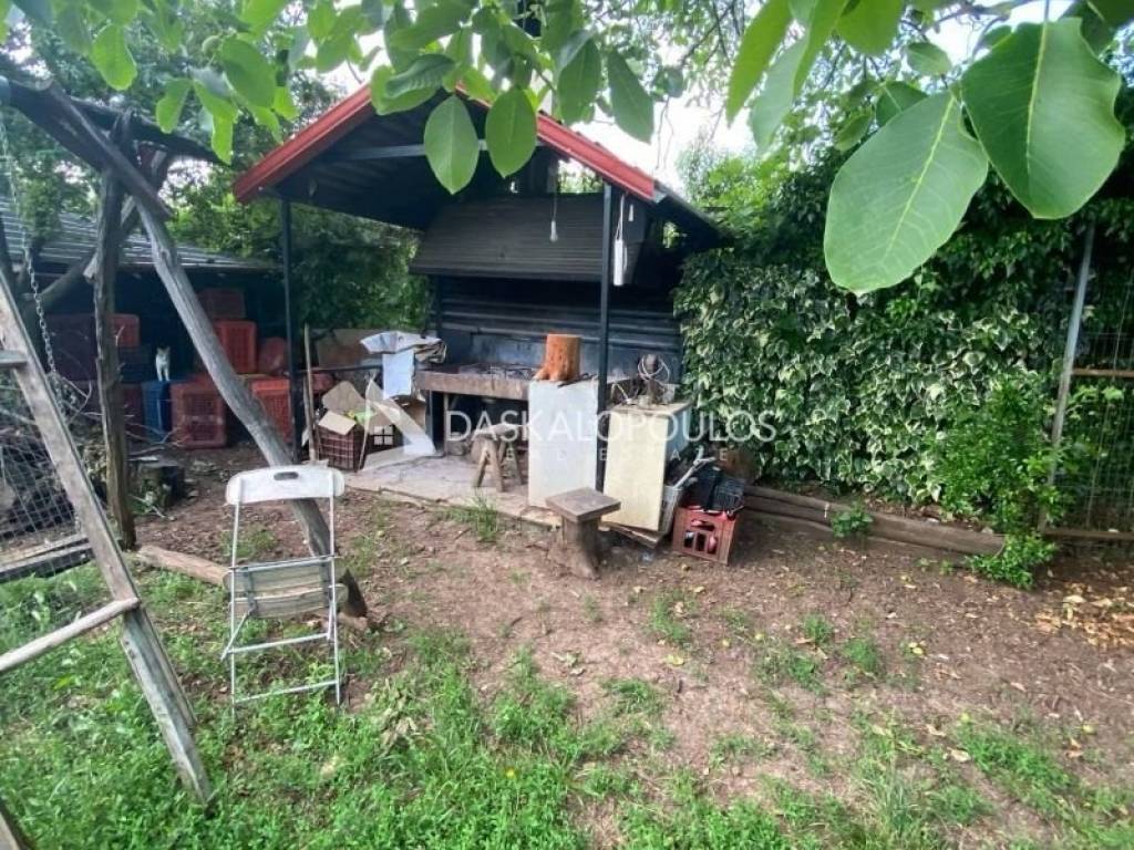 Ύπαρξη ανθρώπου