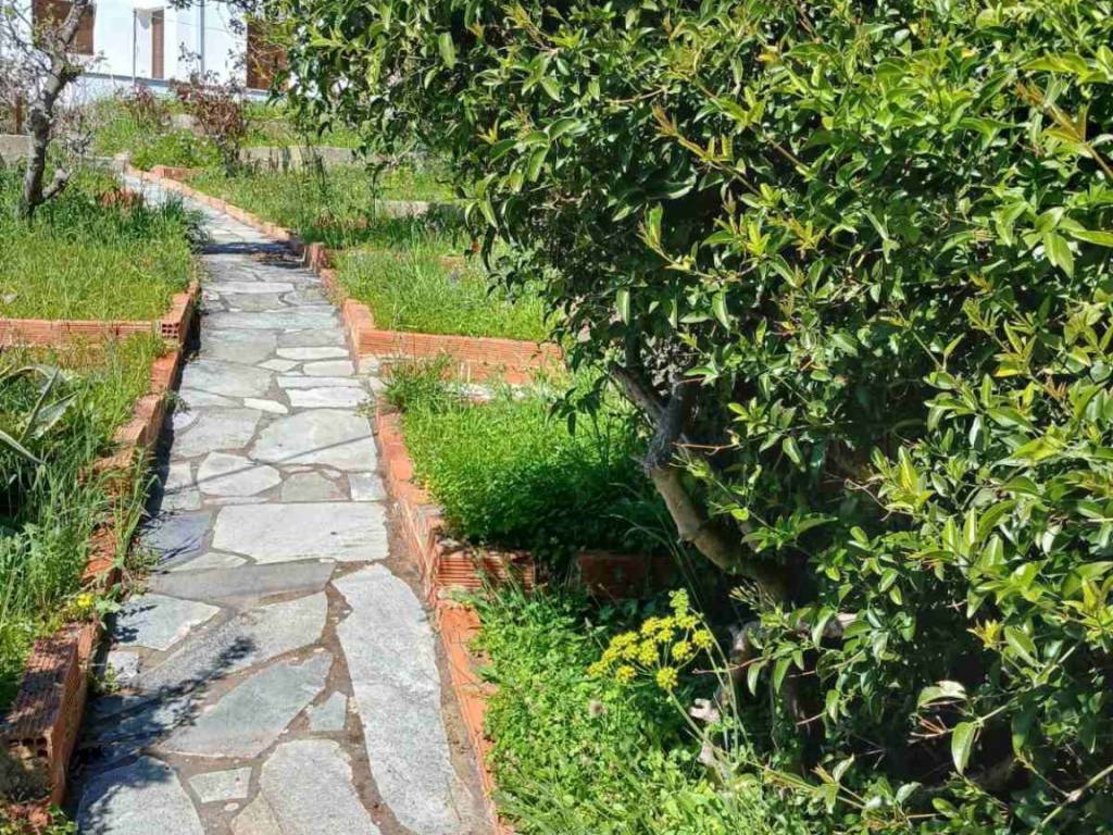 Εξωτερικοι χώροι