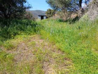 Εξωτερικοι χώροι