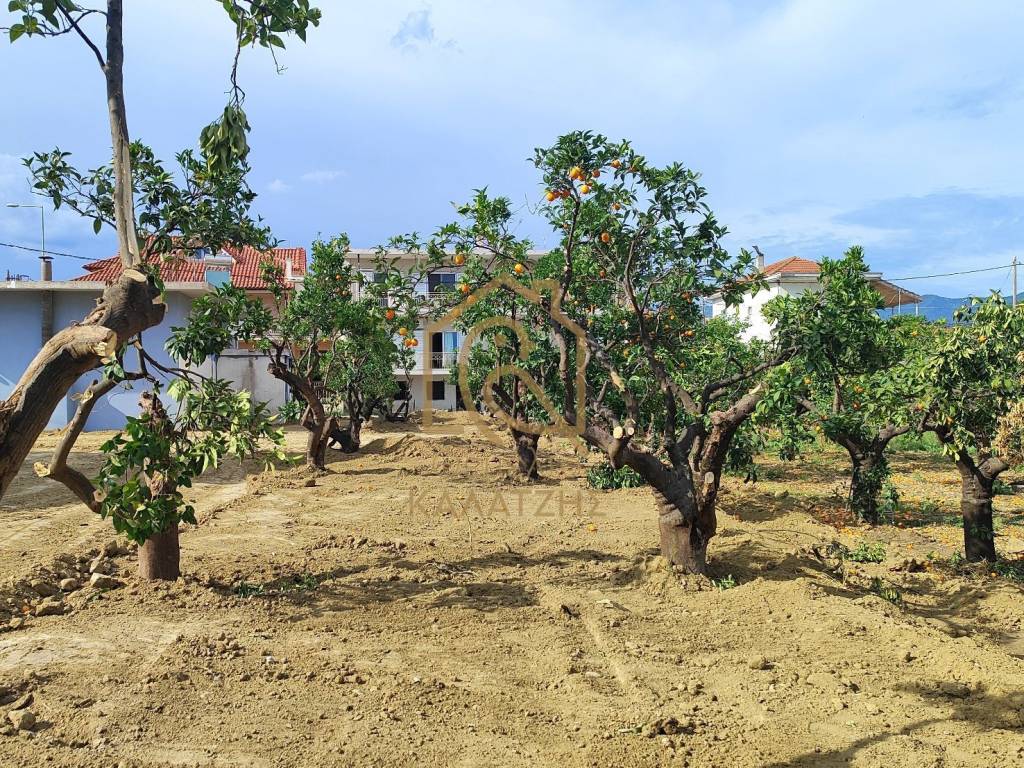 ARTIO KAI OIKODOMESIMO