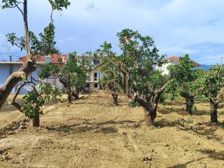 ARTIO KAI OIKODOMESIMO