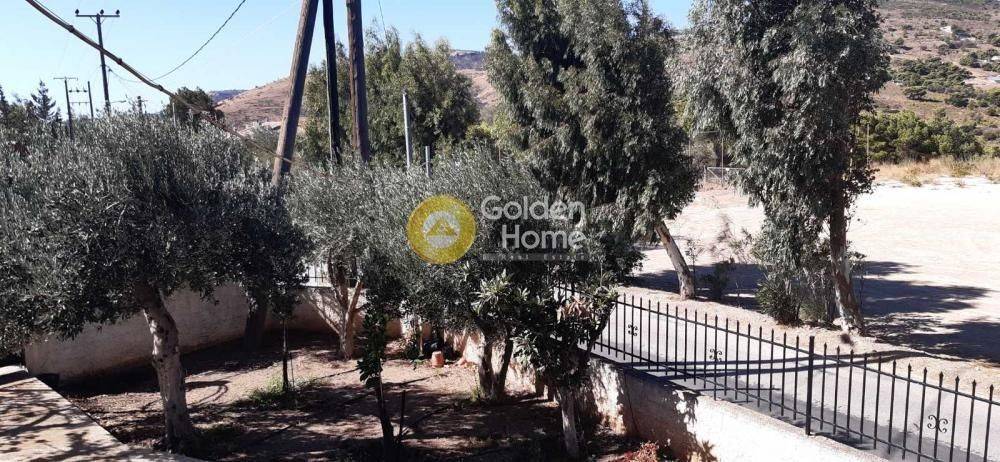 Εξωτερικός Χώρος