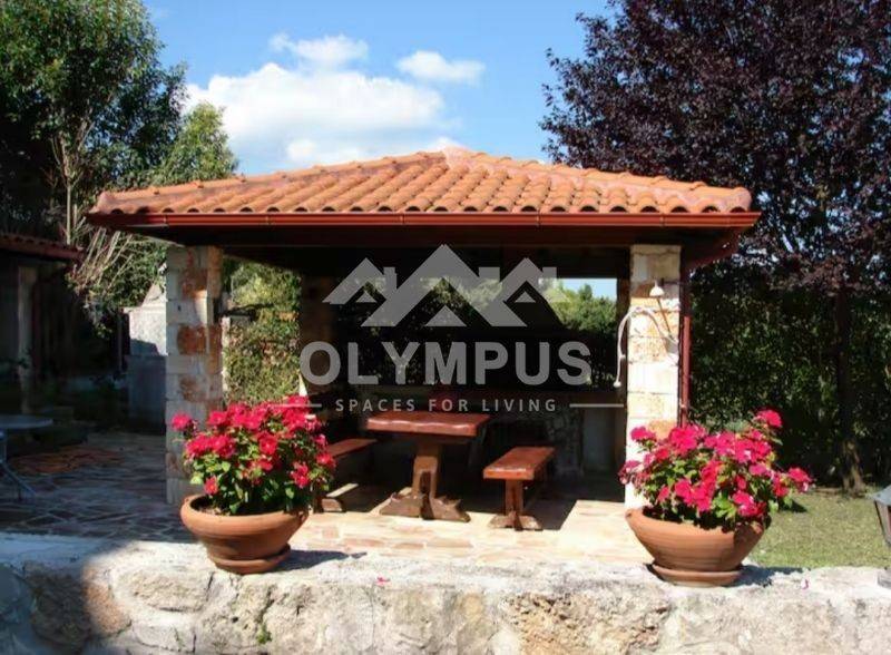 Ύπαρξη ανθρώπου