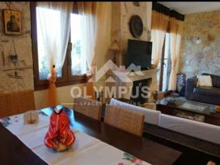 Ύπαρξη ανθρώπου