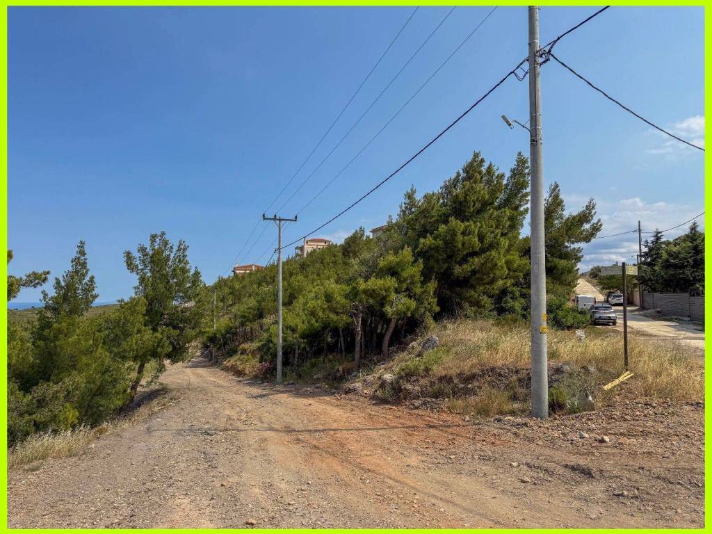 Millennium Real Estate