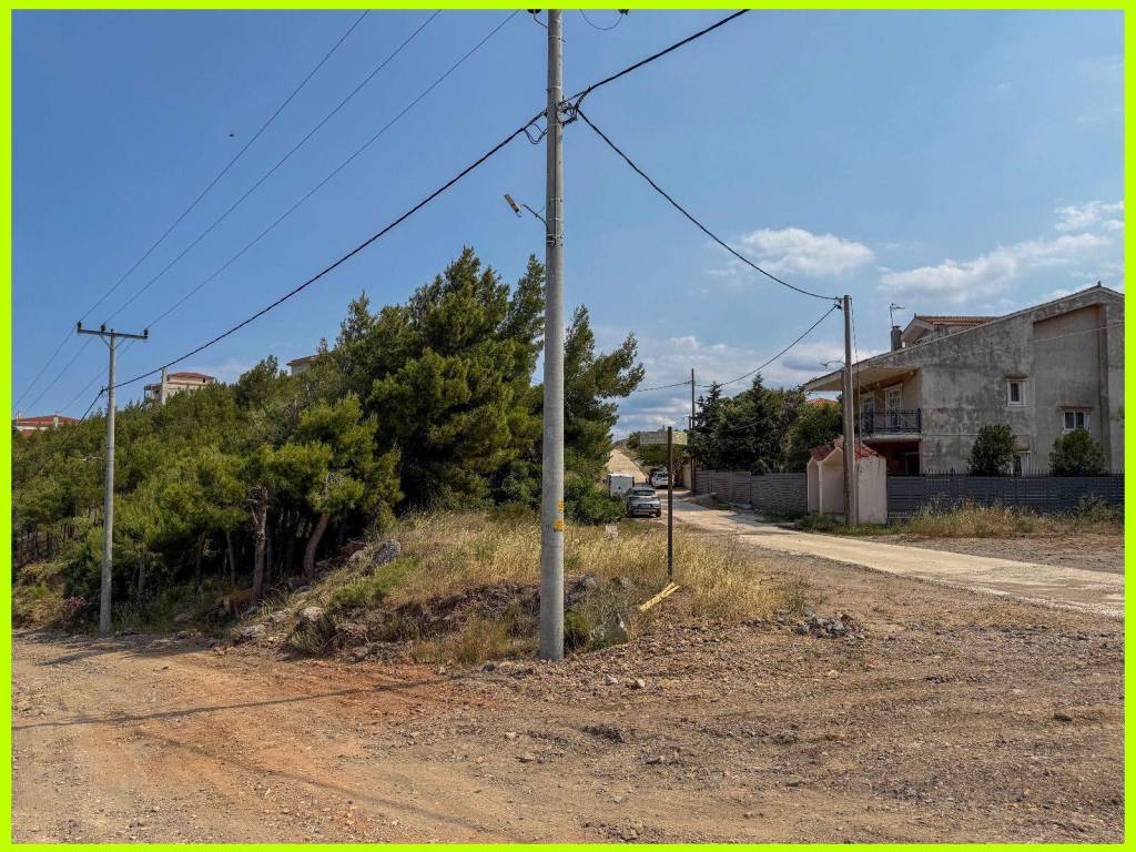 Millennium Real Estate