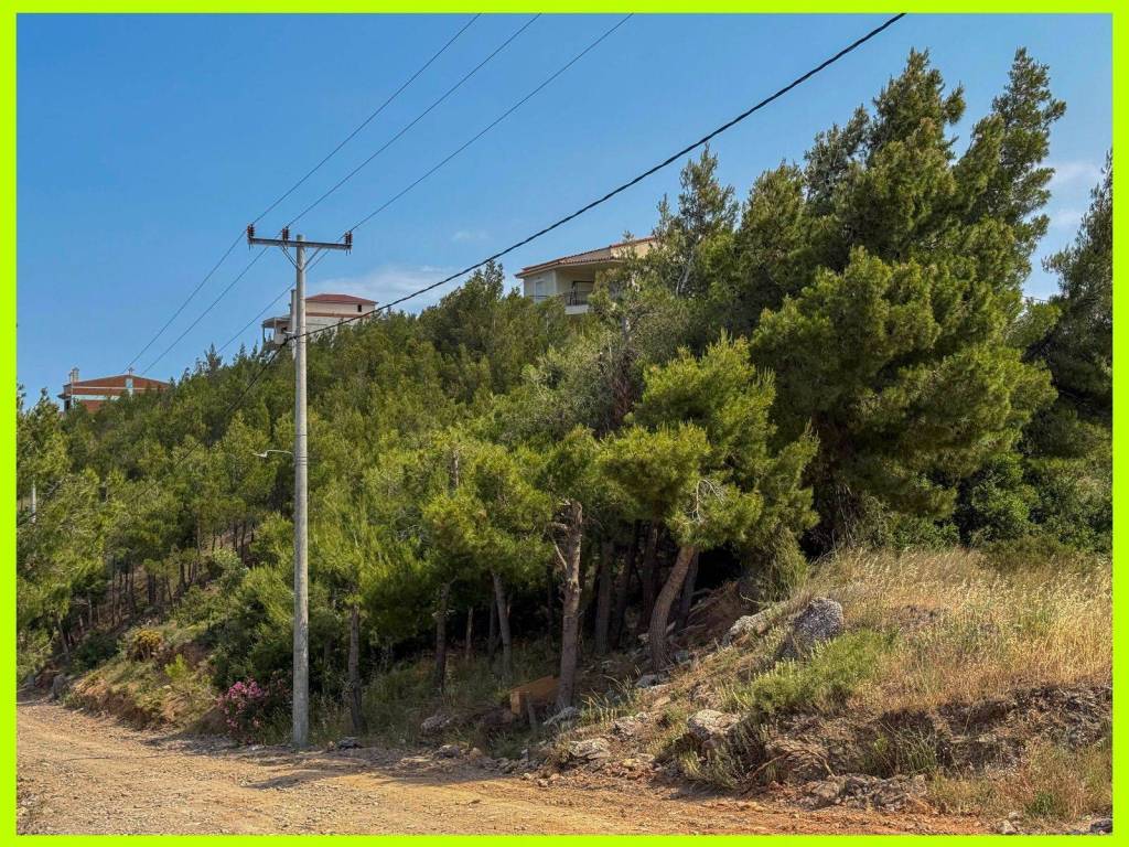 Millennium Real Estate