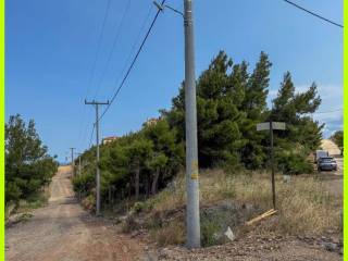 Millennium Real Estate