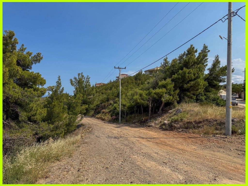 Millennium Real Estate