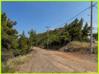 Millennium Real Estate