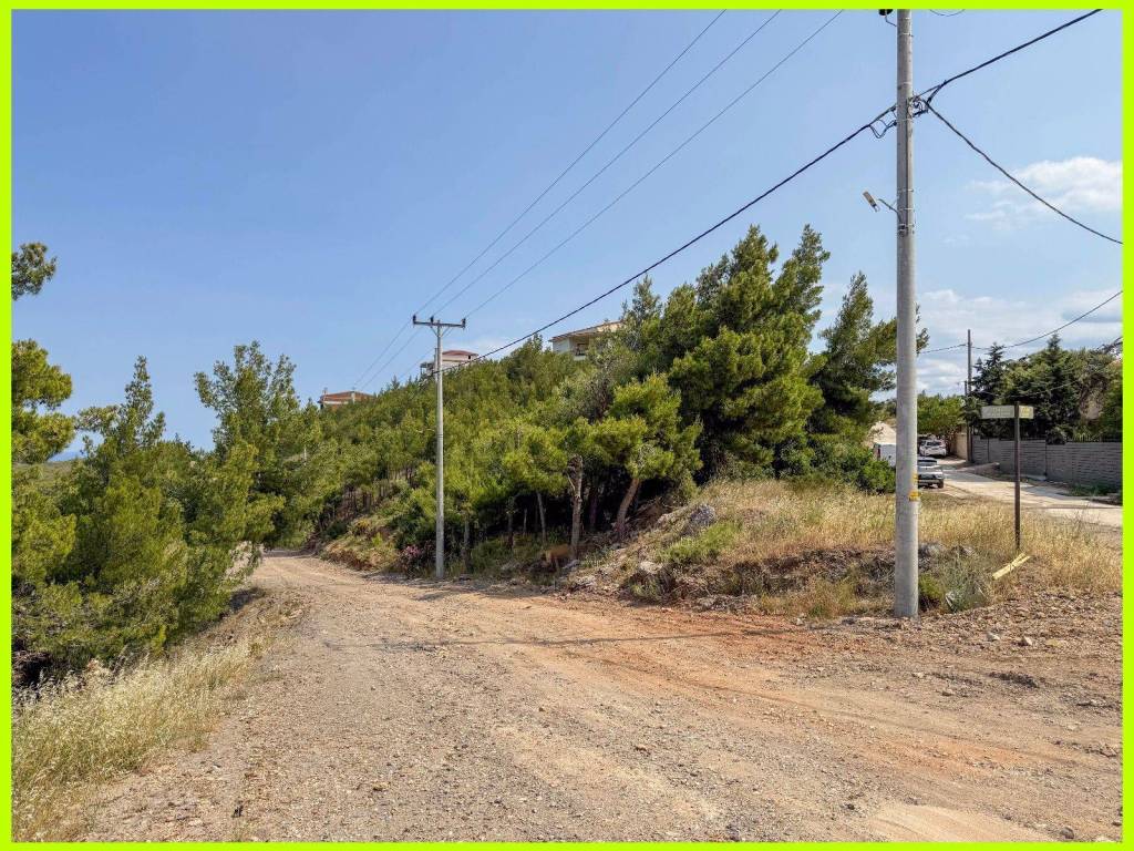 Millennium Real Estate