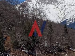 64b7d560ada881689769312.jpg