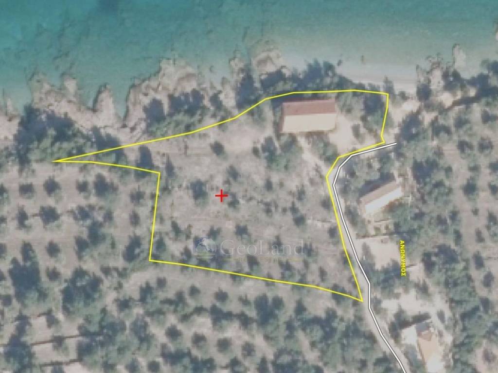 Ύπαρξη ανθρώπου