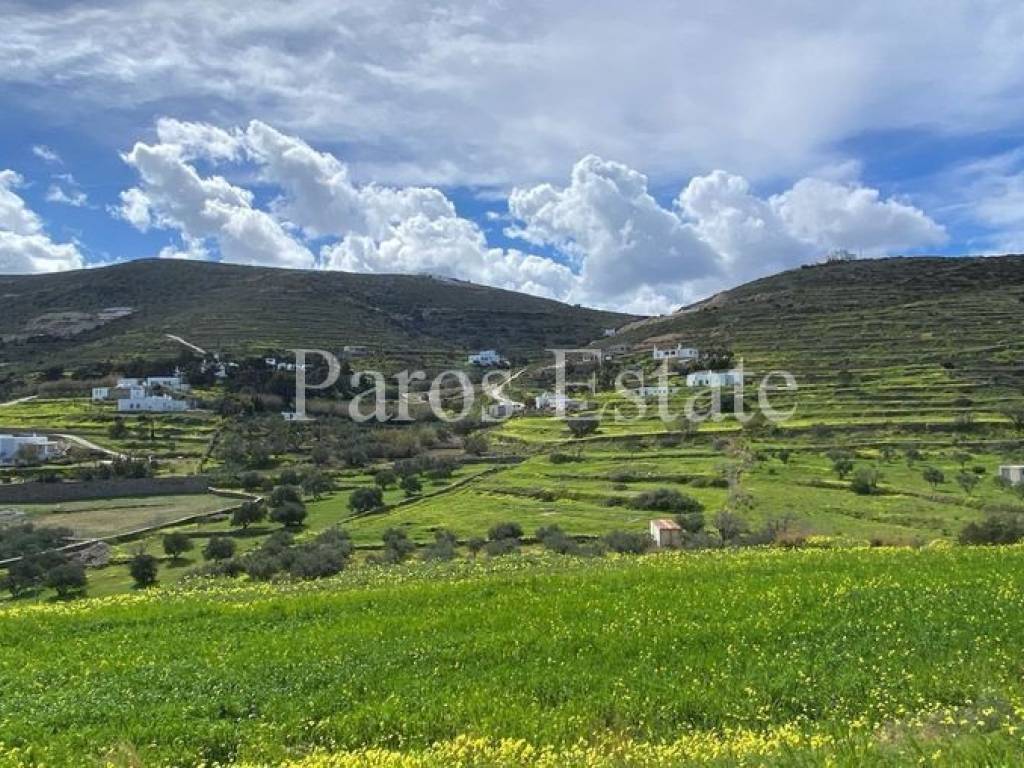 Αγροτεμάχιο με θέα βουνό