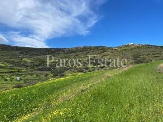 Αγροτεμάχιο