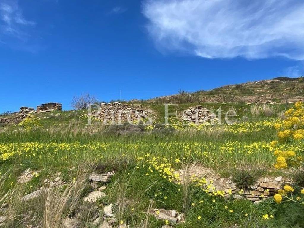 Αγροτεμάχιο