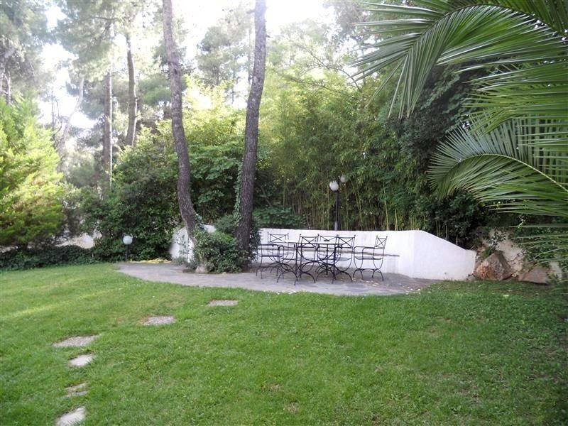 Όμορφος κήπος, σύνολο 800 τ.μ.