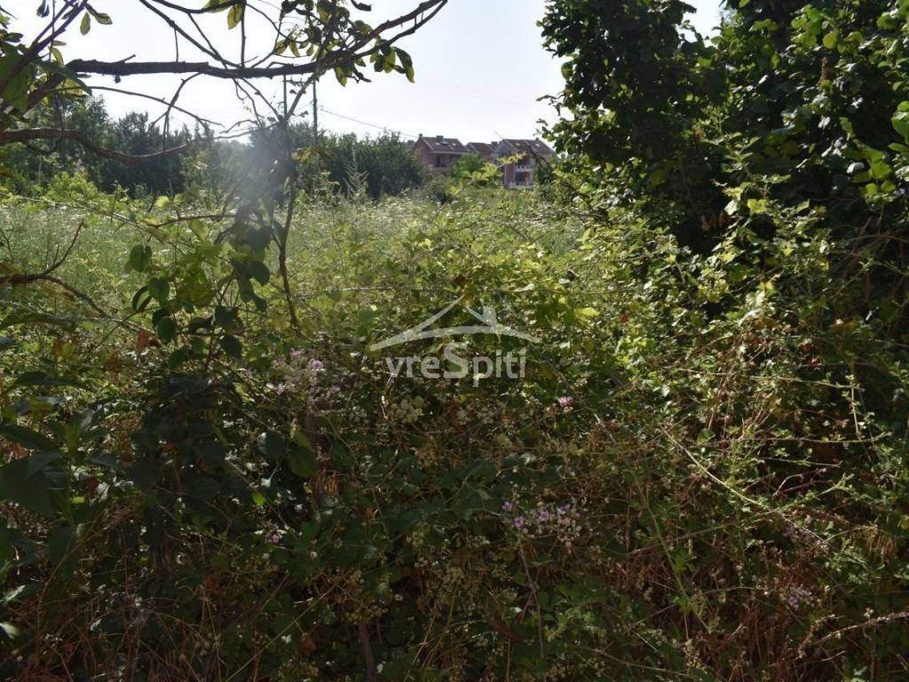 ΑΠΟΨΗ ΟΙΚΟΠΕΔΟΥ