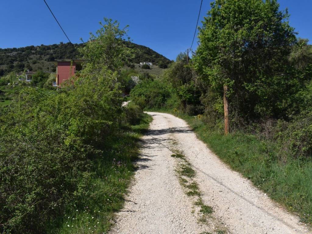 ΑΠΟΨΗ ΟΙΚΟΠΕΔΟΥ