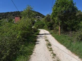 ΑΠΟΨΗ ΟΙΚΟΠΕΔΟΥ