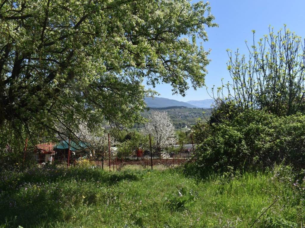 ΑΠΟΨΗ ΟΙΚΟΠΕΔΟΥ