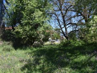 ΑΠΟΨΗ ΟΙΚΟΠΕΔΟΥ