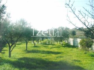 Εξωτερική άποψη χώρου