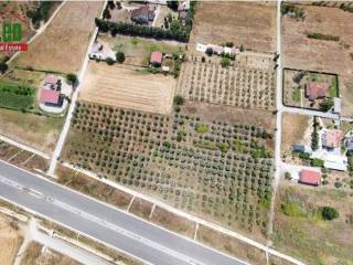 Αεροφωτογραφία