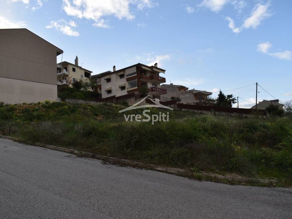 ΑΠΟΨΗ ΟΙΚΟΠΕΔΟΥ