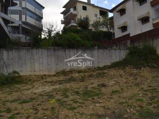 ΑΠΟΨΗ ΟΙΚΟΠΕΔΟΥ