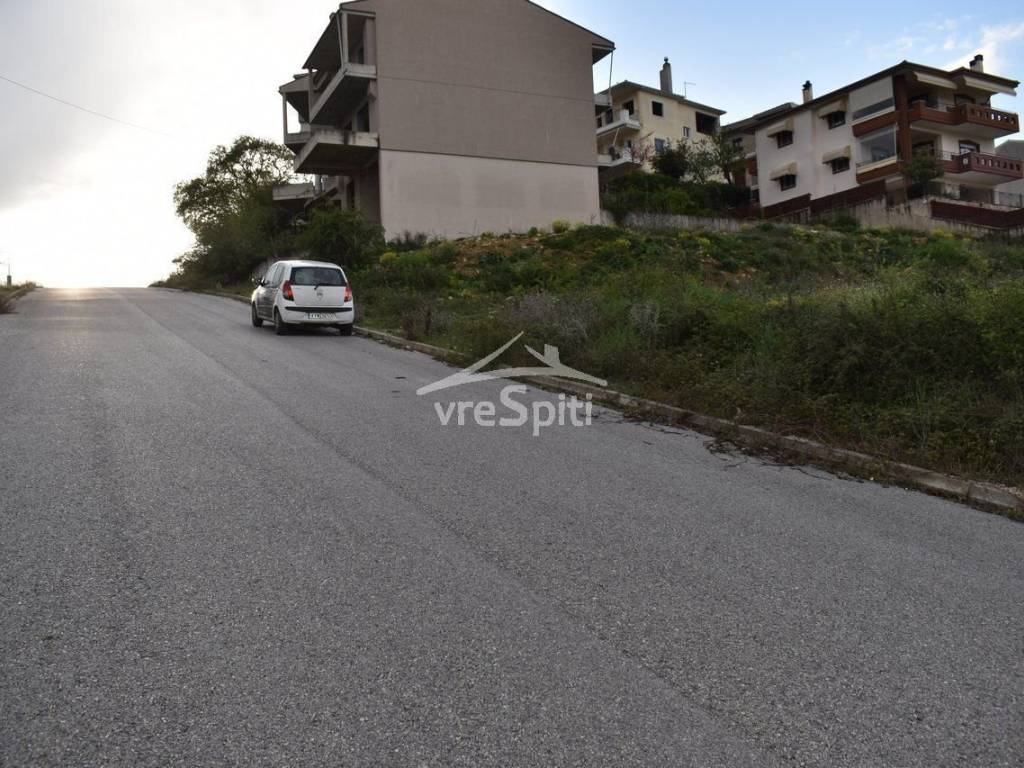 ΑΠΟΨΗ ΟΙΚΟΠΕΔΟΥ