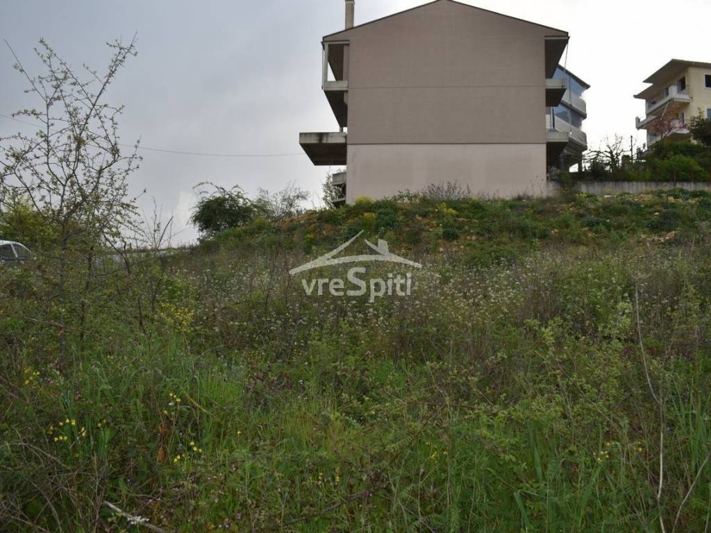 ΑΠΟΨΗ ΟΙΚΟΠΕΔΟΥ