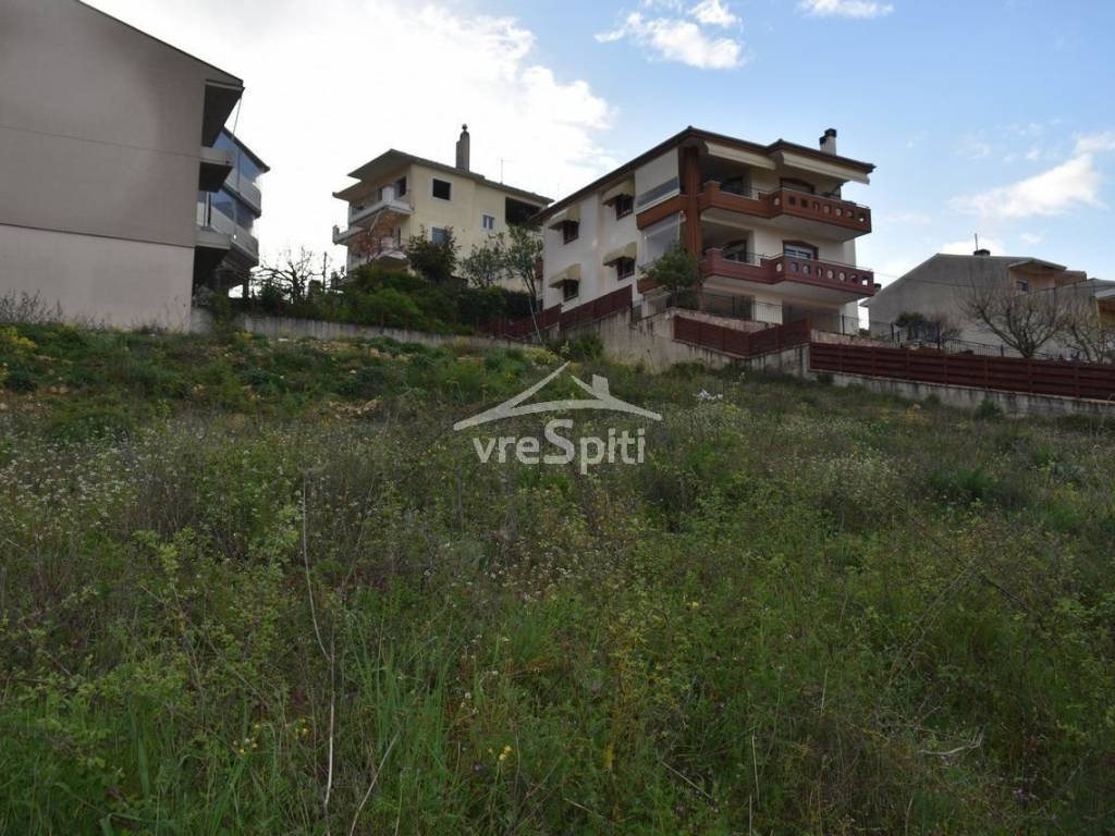 ΑΠΟΨΗ ΟΙΚΟΠΕΔΟΥ