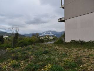 ΑΠΟΨΗ ΟΙΚΟΠΕΔΟΥ