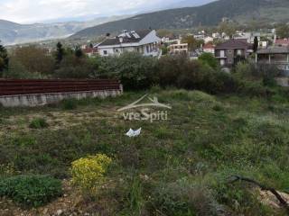 ΑΠΟΨΗ ΟΙΚΟΠΕΔΟΥ