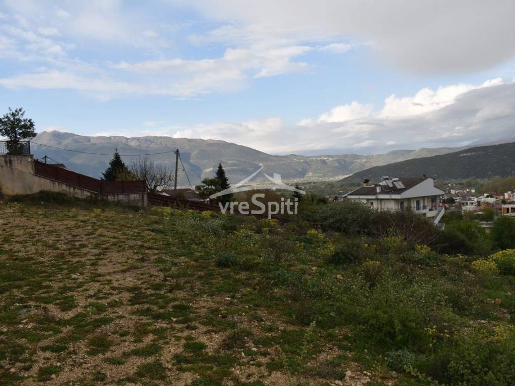 ΑΠΟΨΗ ΟΙΚΟΠΕΔΟΥ