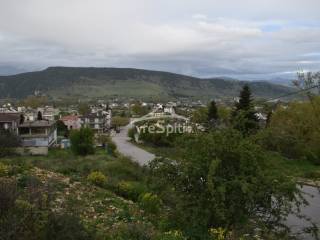 ΑΠΟΨΗ ΟΙΚΟΠΕΔΟΥ