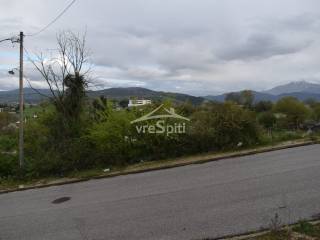 ΑΠΟΨΗ ΟΙΚΟΠΕΔΟΥ