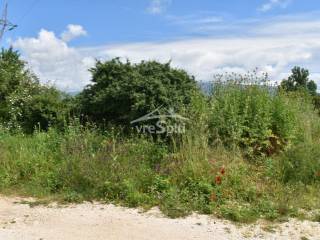 ΑΠΟΨΗ ΑΓΡΟΤΕΜΑΧΙΟΥ