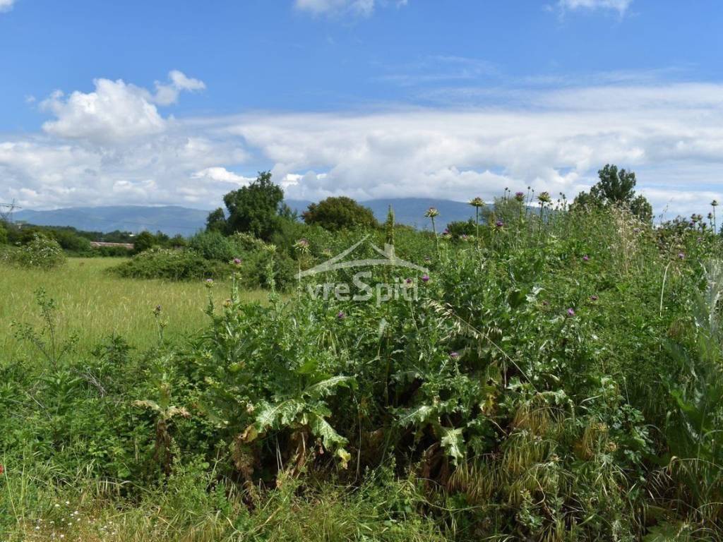 ΑΠΟΨΗ ΑΓΡΟΤΕΜΑΧΙΟΥ