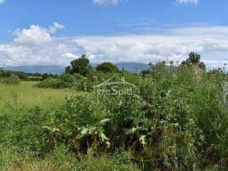 ΑΠΟΨΗ ΑΓΡΟΤΕΜΑΧΙΟΥ