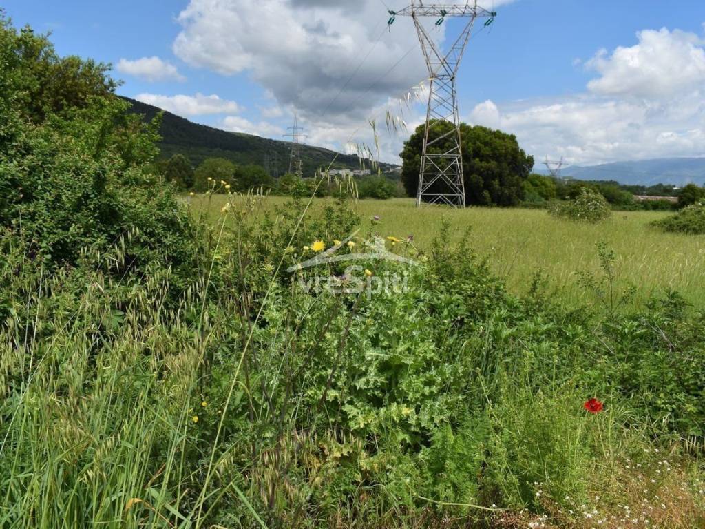 ΑΠΟΨΗ ΑΓΡΟΤΕΜΑΧΙΟΥ