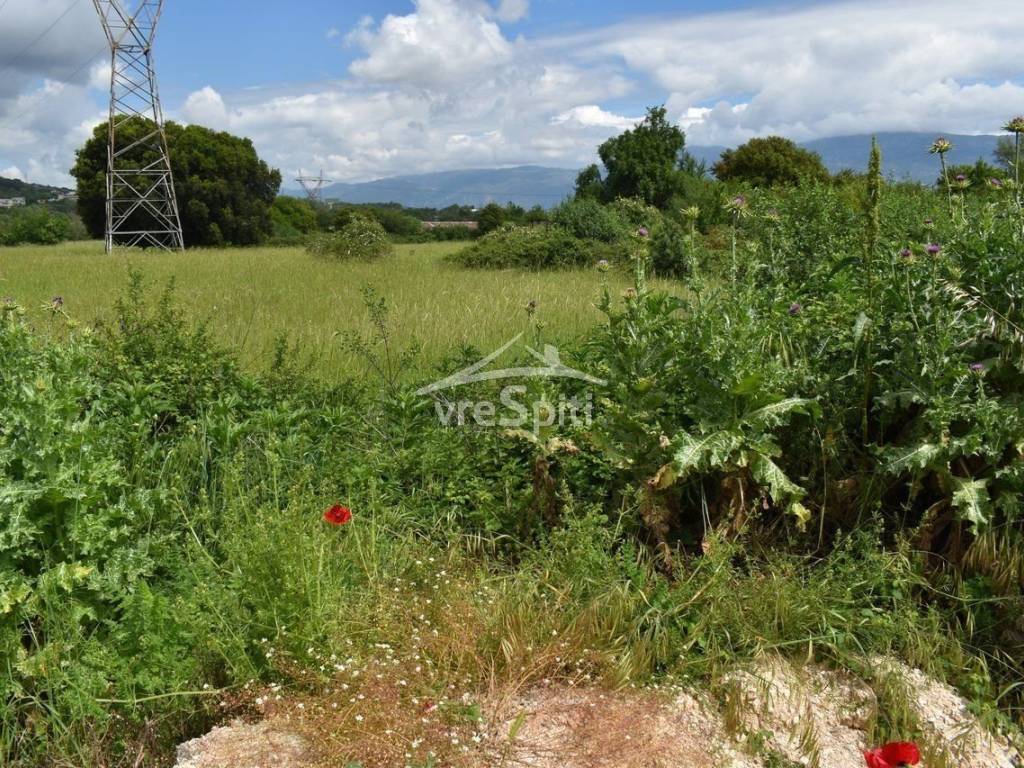 ΑΠΟΨΗ ΑΓΡΟΤΕΜΑΧΙΟΥ