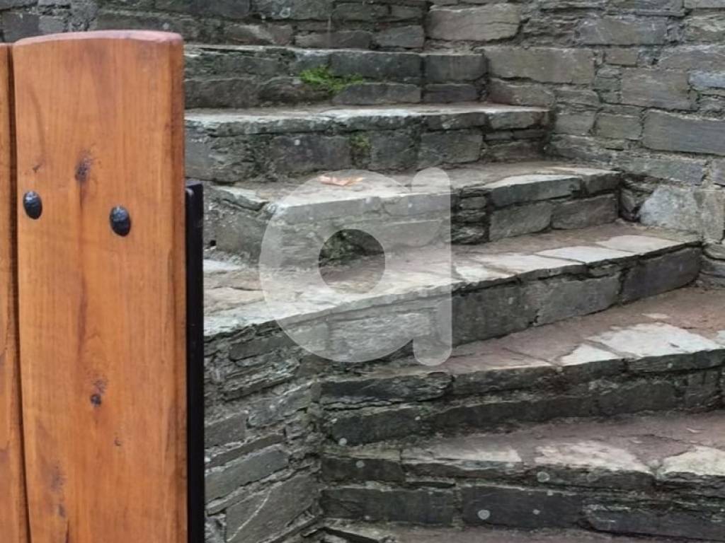 Ύπαρξη ανθρώπου