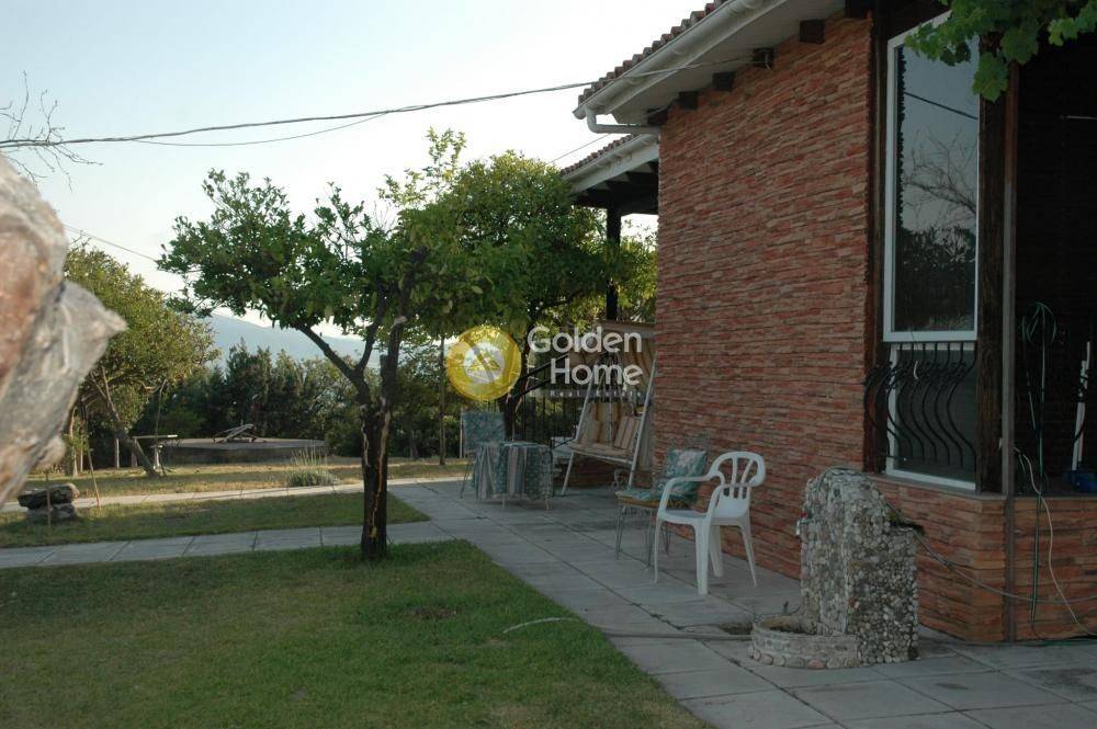 Εξωτερικός Χώρος