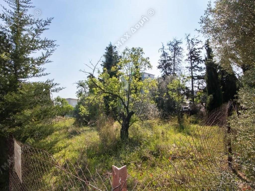 Οικόπεδο | 320τ.μ. | 69000 €