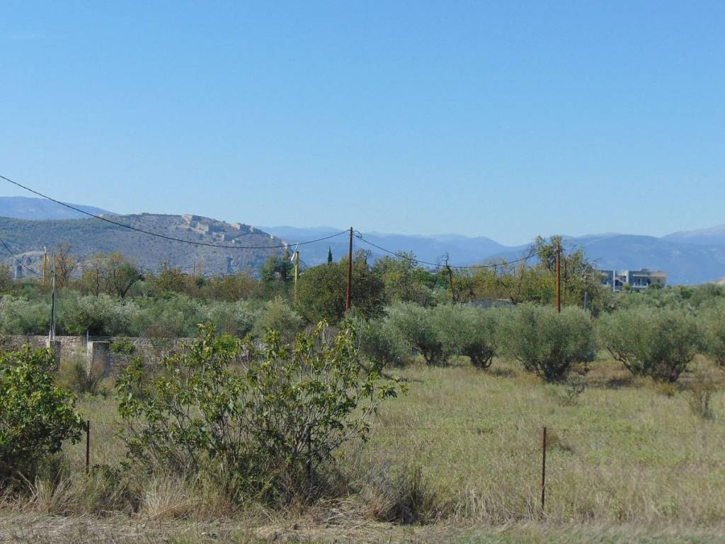 buildable plot, with a total area of 4,650 sq.m.